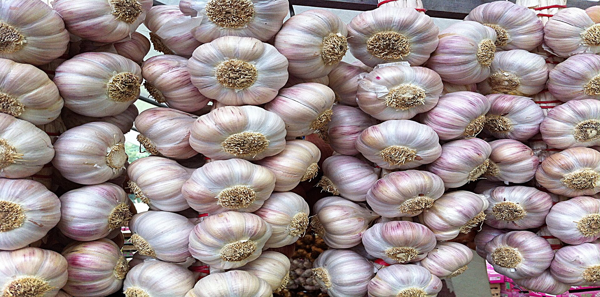 Take french cooking lessons & learn recipes